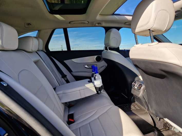 Bordeaux: Private Transfer Service - Vehicle and Driver Details