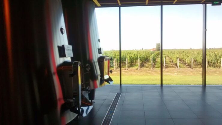 Bordeaux: Private Wine Tour to St Emilion - Activity Details and Options
