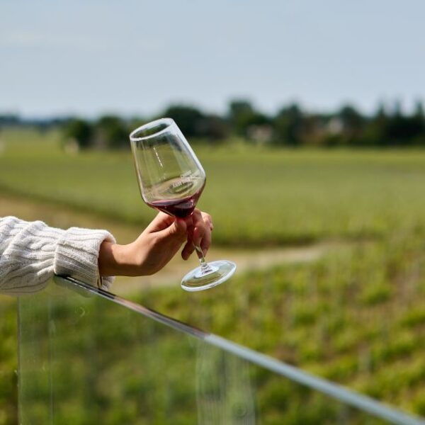 Bordeaux: Private Wine Tour to St Emilion - The Sum Up