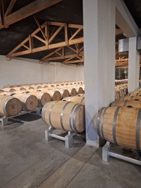 Bordeaux: Saint Emilion Village With Chateaus & Wine Tasting - Common Questions