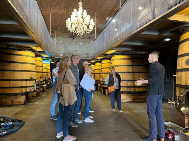 Bordeaux: Saint-Émilion Wine Tour in a Small Group - Group Size and Languages