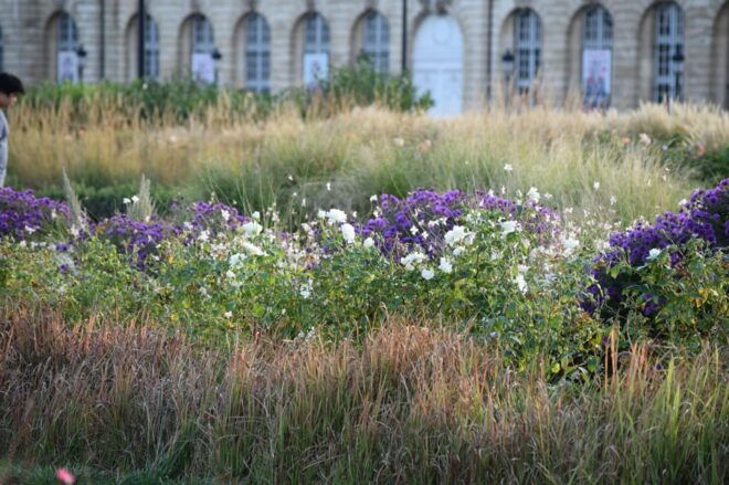 Bordeaux: See the Whole City by Bike - Key Highlights of the Itinerary