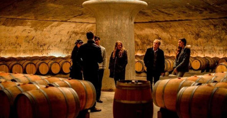 Bordeaux: St-Emilion and Medoc Wine Day Tour With Lunch - Good To Know