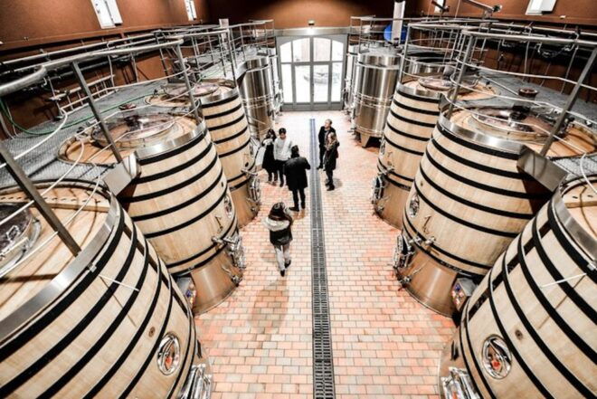 Bordeaux: St-Emilion and Medoc Wine Day Tour With Lunch - Experience