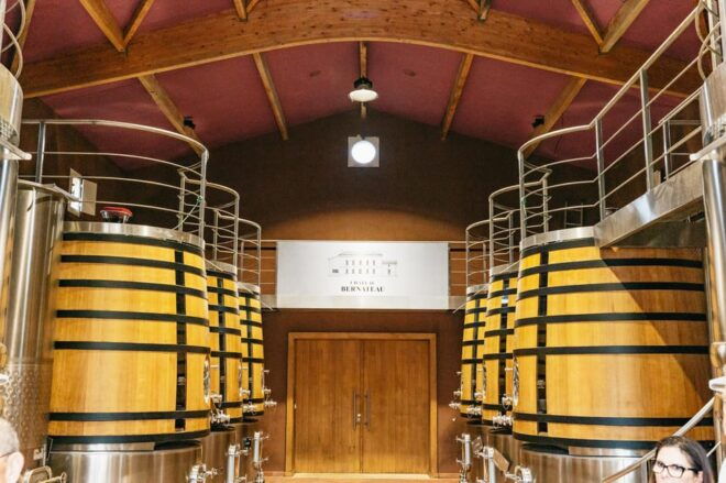 Bordeaux: St. Emilion Day Trip With Wine Tasting and Lunch - Exploring Saint-Emilion