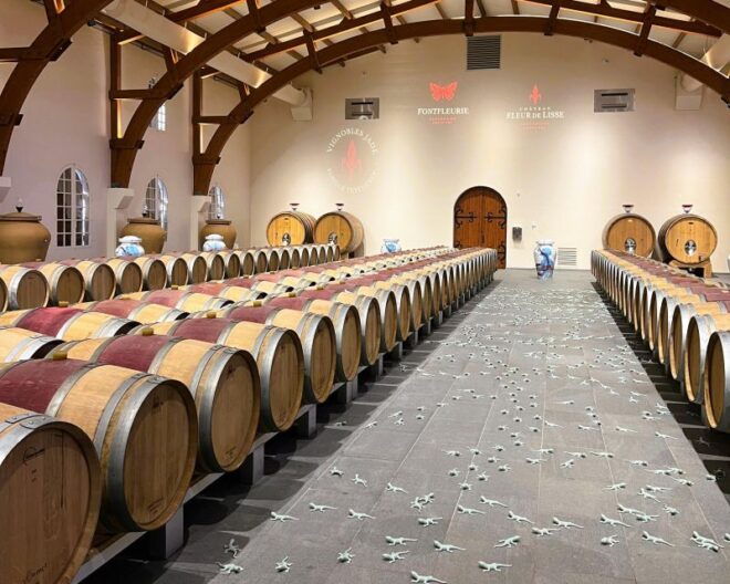 Bordeaux: St-Emilion Vineyards E-Bike Tour With Wine & Lunch - Important Information