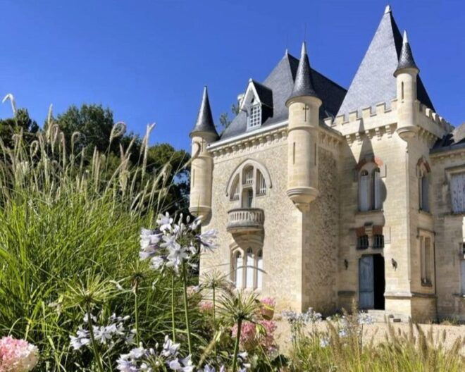 Bordeaux: St-Emilion Vineyards E-Bike Tour With Wine & Lunch - Customer Reviews