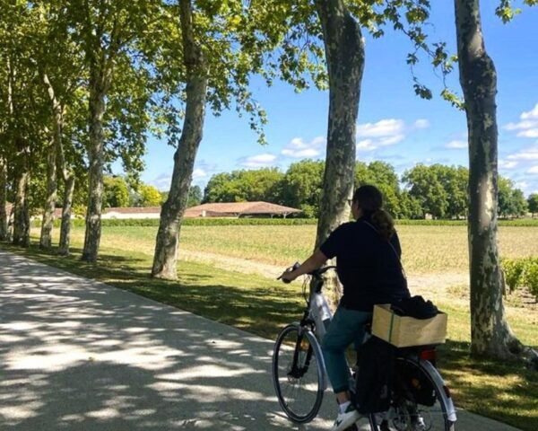 Bordeaux: St-Emilion Vineyards E-Bike Tour With Wine & Lunch - Tour Itinerary