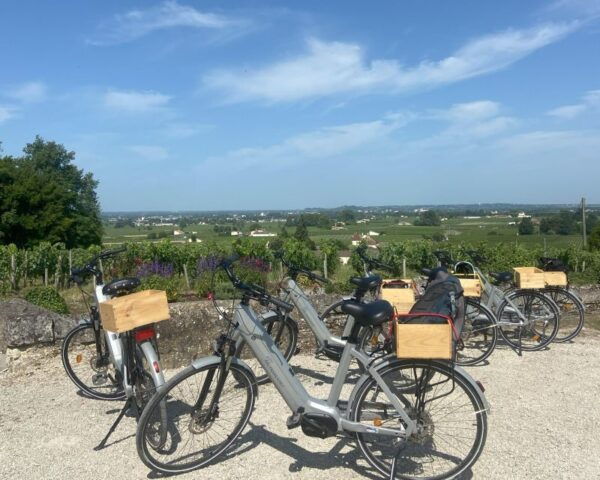 Bordeaux: St-Emilion Vineyards E-Bike Tour With Wine & Lunch - The Sum Up