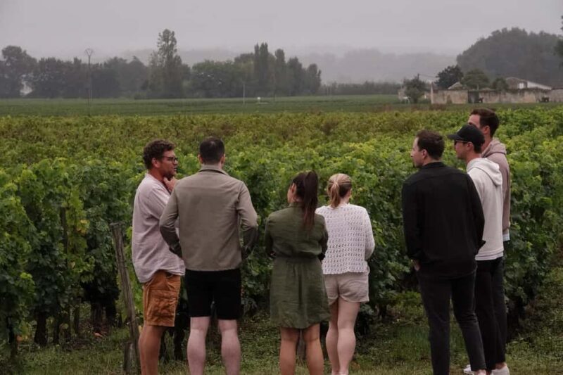 Bordeaux: St. Emilion Wine and E-Bike Tour with Lunch - What Makes This Tour Special?