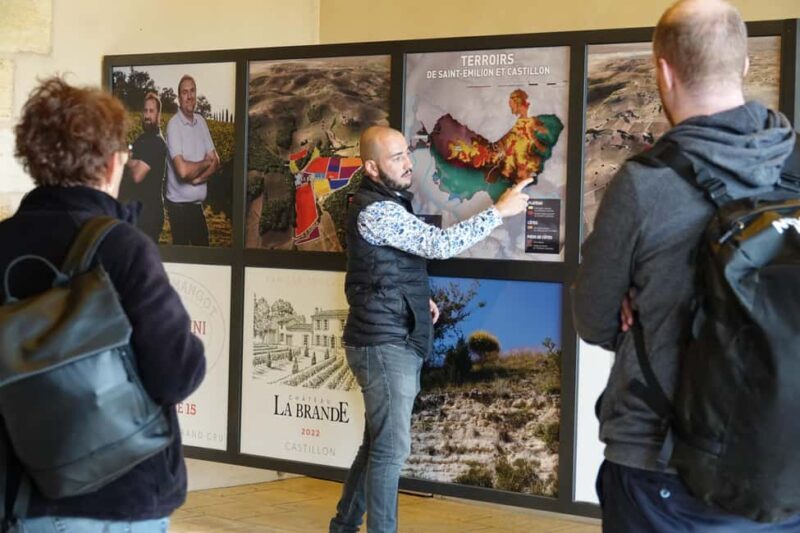 Bordeaux: St. Emilion Wine and E-Bike Tour with Lunch - The Experience of Visiting Châteaux and Tasting