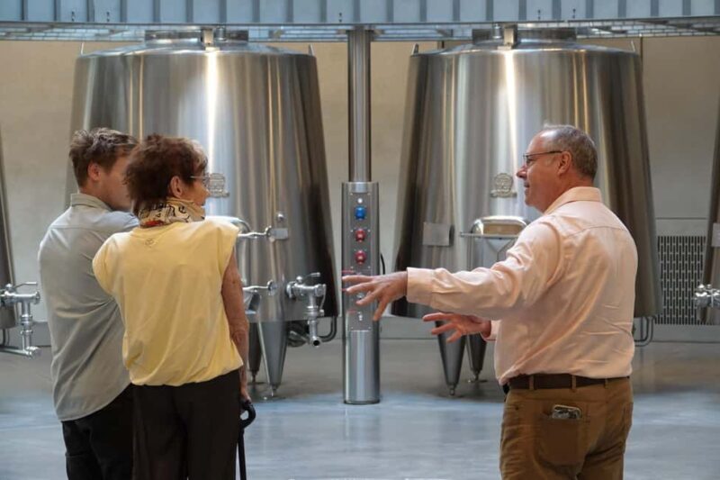 Bordeaux: St. Emilion Wine and E-Bike Tour with Lunch - Final thoughts