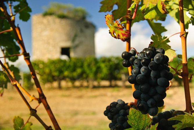 Bordeaux Super Saver Historic Gourmet Walking Tour With Lunch and Médoc Tour - Traveler Photos
