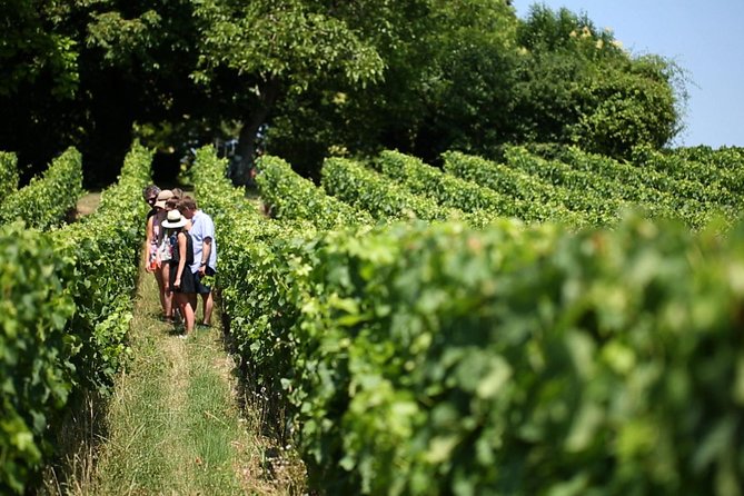 Bordeaux Super Saver Médoc Wine Tour With Lunch Plus St Emilion and Appetizer - Lunch at a Chateau in Saint Emilion
