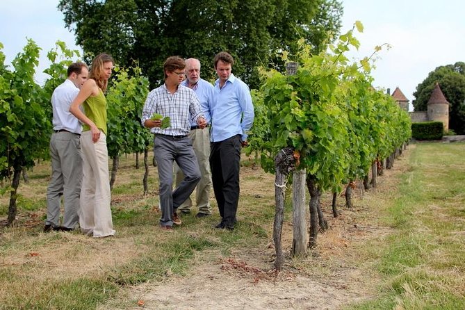 Bordeaux Super Saver Wine Tasting Class With Lunch and St Emilion Region - Lunch and Wine Pairings