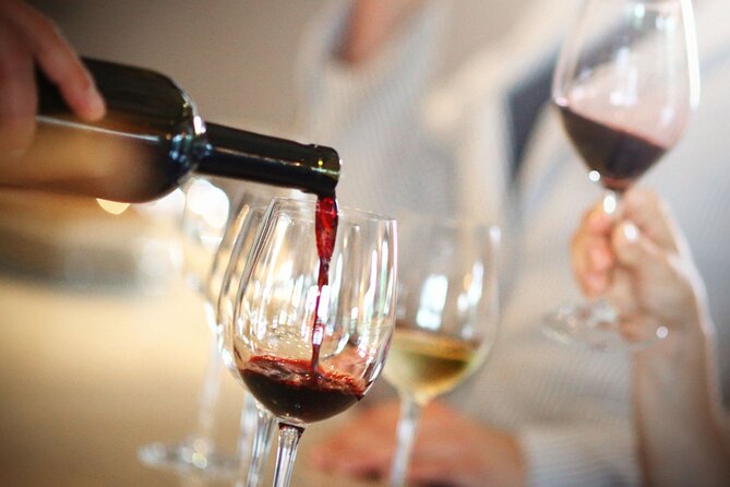 Bordeaux: the Vineyard off the Beaten Track - Discovering Bordeauxs Secret Wine Trails