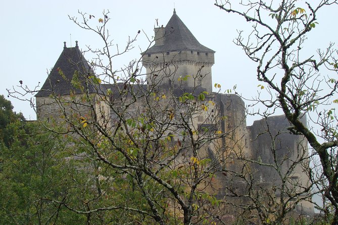 Bordeaux to Dordogne - Private Tour: Fortified Castles and Medieval Villages - Reviews