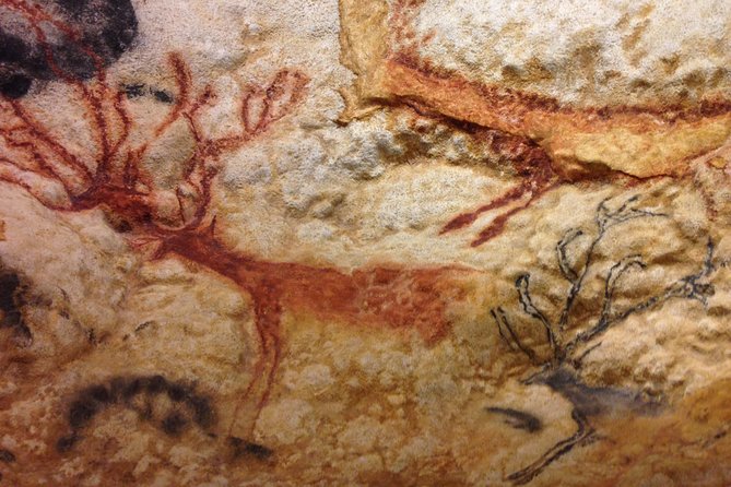 Bordeaux to Lascaux and Dordogne Valley Private Sightseeing Tour - Tour Details