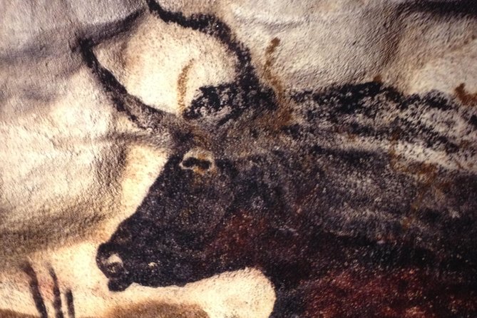 Bordeaux to Lascaux and Dordogne Valley Private Sightseeing Tour - Cancellation Policy