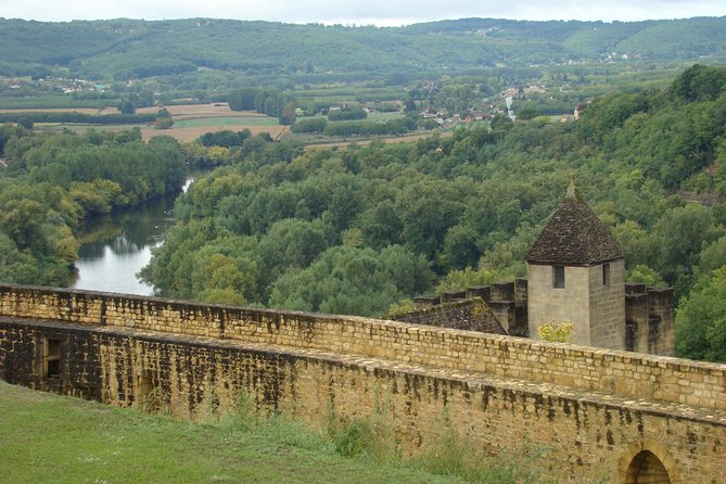 Bordeaux to Lascaux and Dordogne Valley Private Sightseeing Tour - Common Questions