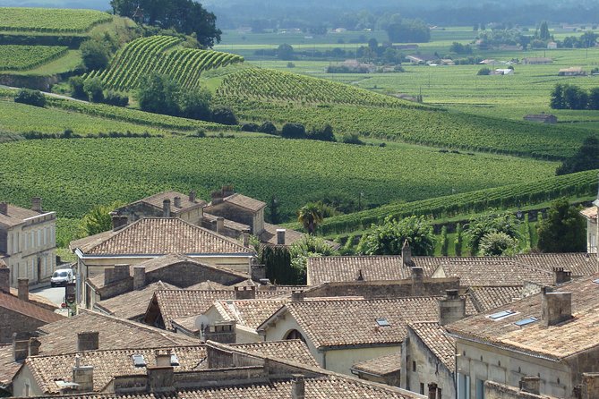 Bordeaux to Medoc & Saint Emilion Wine Tasting / Sightseeing Tour - Discover Historic Saint Emilion Village and Menhir De Peyrefitte