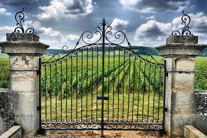 Bordeaux to Saint-Emilion Small-Group Wine Tasting Day Trip  - Cancel 24H Prior & Full Refund - Additional Information