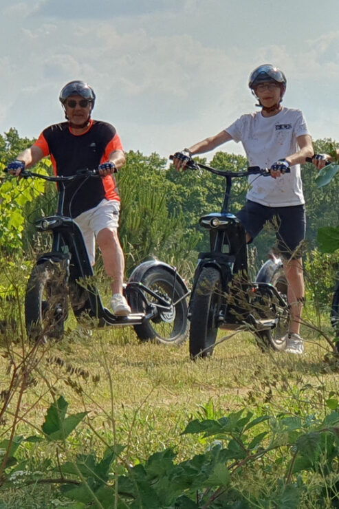 Bordeaux: Trot Circuit + Wine Tasting of La Louvière Castle - Pricing Details