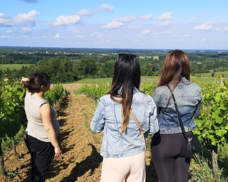 Bordeaux: Vineyard off the Beaten Track With Wine Tasting - Dive Into Wine-Making History