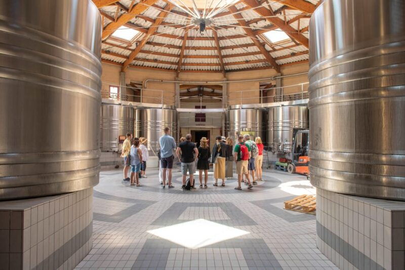 Bordeaux: Vineyards Wine Tasting Half-Day Trip - Good To Know