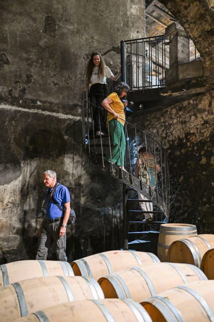 Bordeaux: Vineyards Wine Tasting Half-Day Trip - Itinerary and Schedule