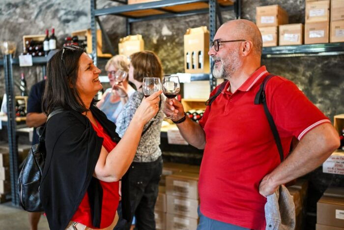 Bordeaux: Vineyards Wine Tasting Half-Day Trip - Participant Information and Restrictions