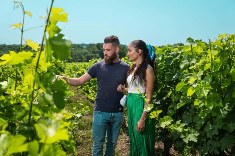Bordeaux: Visite/dégustation hédoniste au Château de Reignac - Good To Know