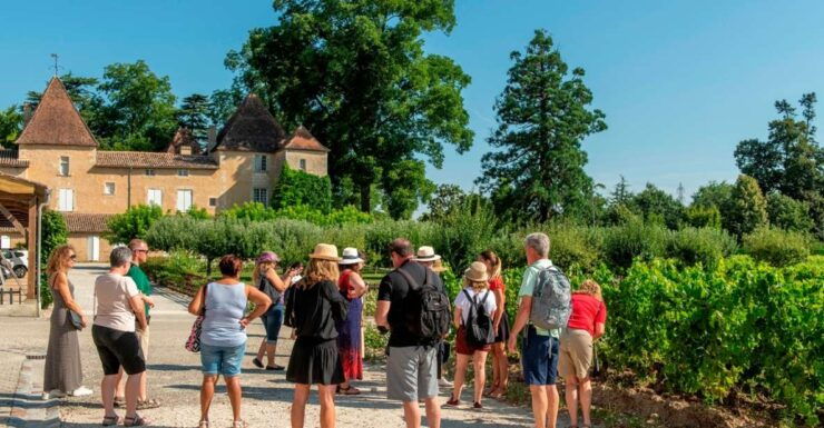 Bordeaux: Wine Country Vineyards Tour W/ Local Wine Tastings - Experience