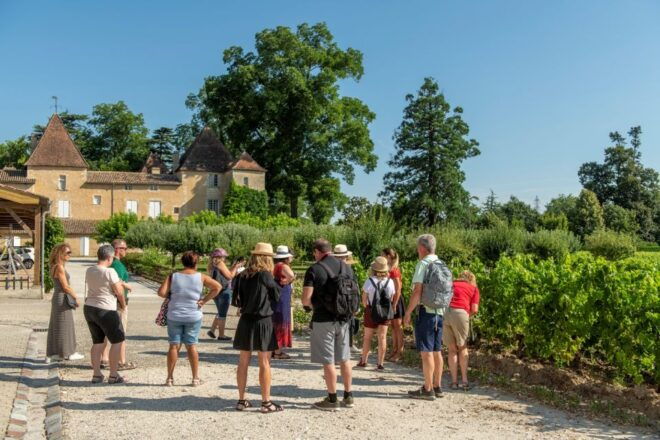 Bordeaux: Wine Country Vineyards Tour W/ Local Wine Tastings - Full Description