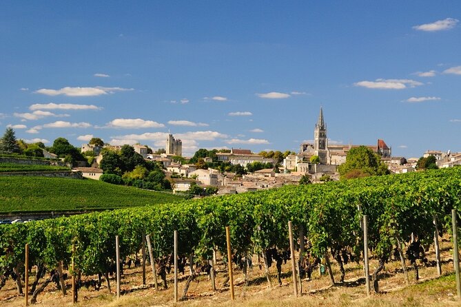 Bordeaux Wine Day Tour Saint Emilion - Good To Know