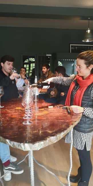 Bordeaux wine tour: 2 wineries & wine tastings (red & white) - Bordeaux Wine Tour: 2 Wineries & Wine Tastings (Red & White)
