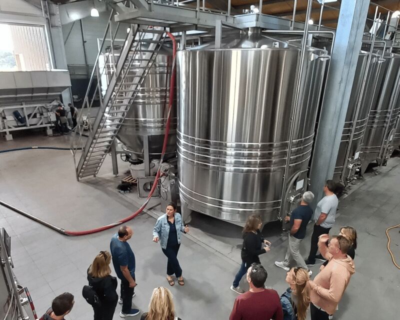 Bordeaux wine tour: 2 wineries & wine tastings (red & white) - Final Thoughts