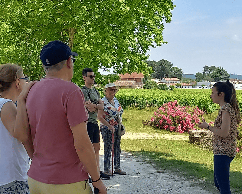 Bordeaux Wine Tour: 2 Wineries & Wine Tastings (Red & White) - Good To Know