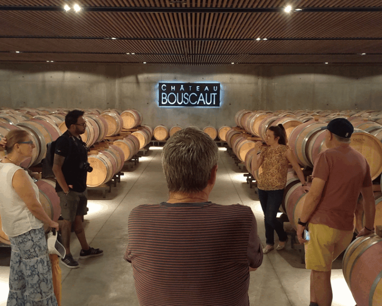 Bordeaux Wine Tour: 2 Wineries & Wine Tastings (Red & White) - Inclusions and What to Expect