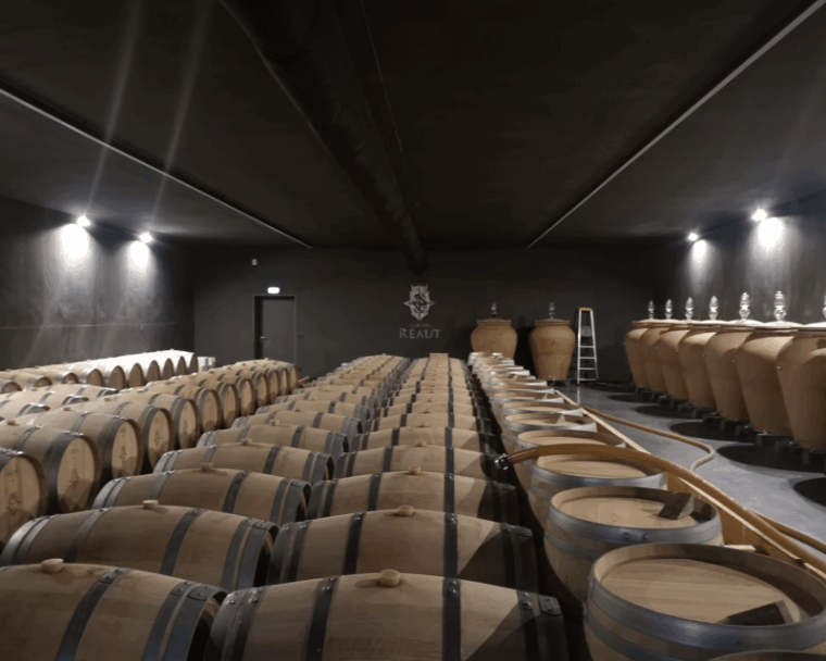 Bordeaux Wine Tour: 2 Wineries & Wine Tastings (Red & White) - Transportation and Meeting Point