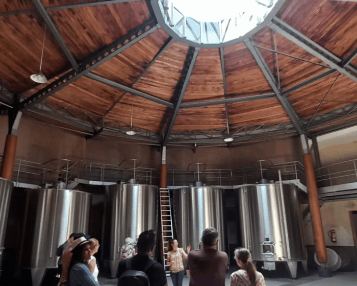 Bordeaux Wine Tour: 2 Wineries & Wine Tastings (Red & White) - Wine Tasting Experience