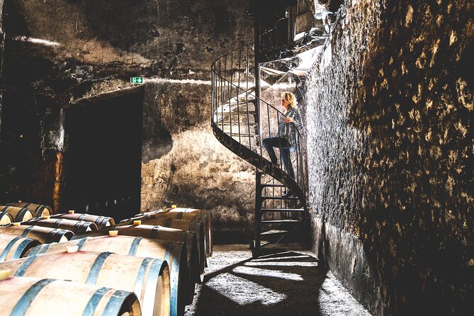 Bordeaux: Wine Tour and Tasting - Sampling Wines in Production