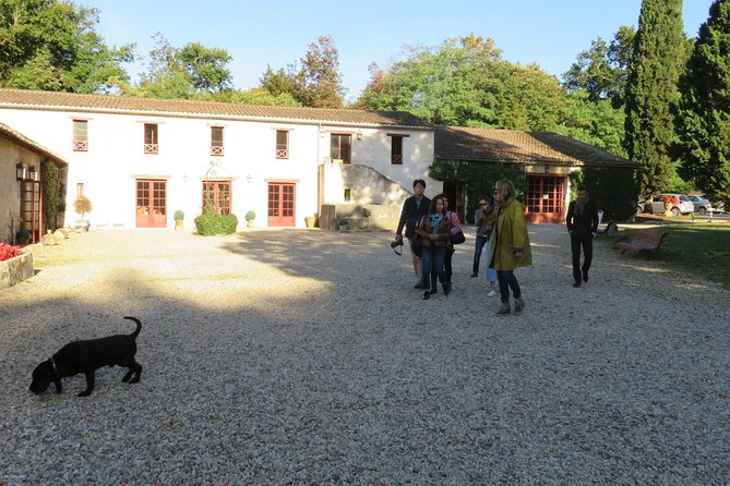 Bordeaux: Wine Tour and Tasting - Tour Details and Logistics