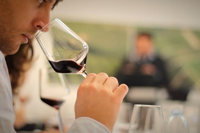 Bordeaux: Wine Tour and Tasting - Understanding the Cancellation Policy