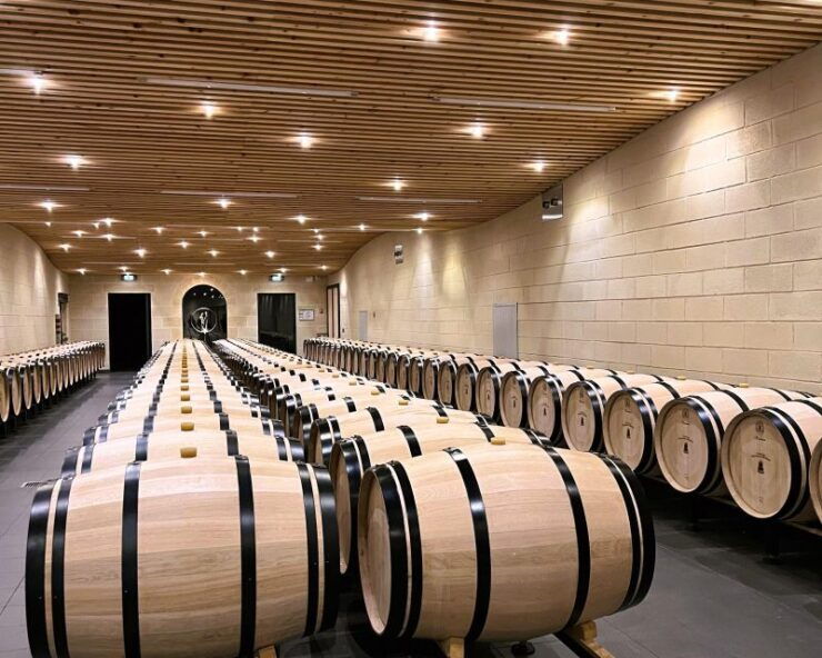 Bordeaux: Wine Tour With Tasting - Tour Highlights