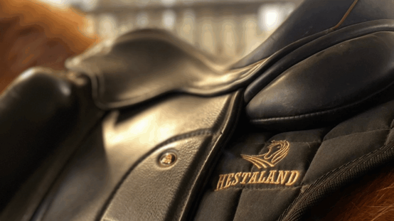 Borgarnes: Horseback Riding Tour with Prep Lesson - Good To Know  