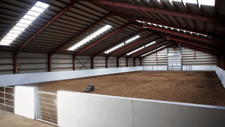 Borgarnes: Horseback Riding Tour with Prep Lesson - The Sum Up