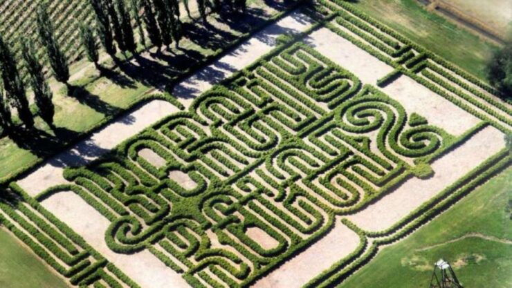 Borges Labyrinth and Winery: Lunch and Literary Workshop - Good To Know
