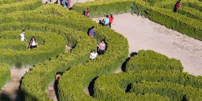 Borges Labyrinth and Winery: Lunch and Literary Workshop - Immersive Borges Labyrinth Exploration