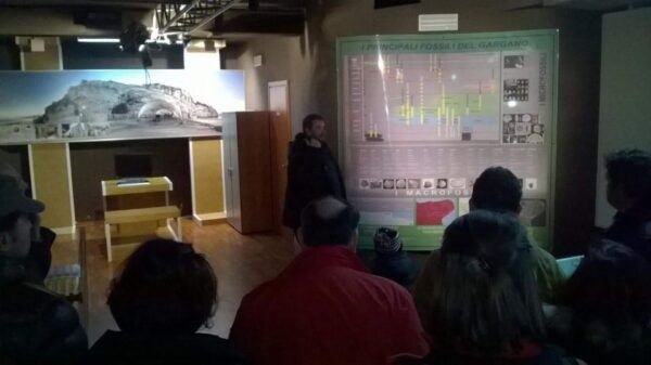 Borgo Celano: Paleonthological Museum of Dinosaurs Ticket - Inclusions and Guided Tours